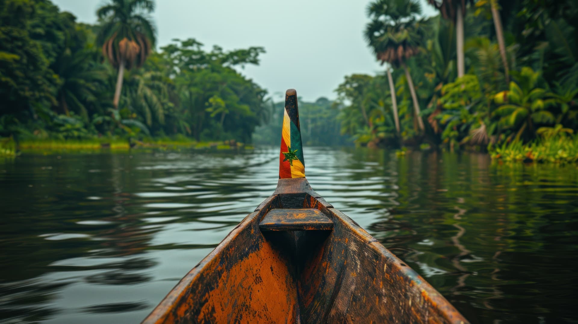 Pirogue sur un fleuve tropical bordé de forêt